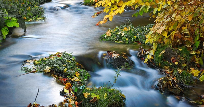 Comment utiliser la longue traîne pour attirer du trafic qualifié